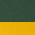 Forest Green/ Gold